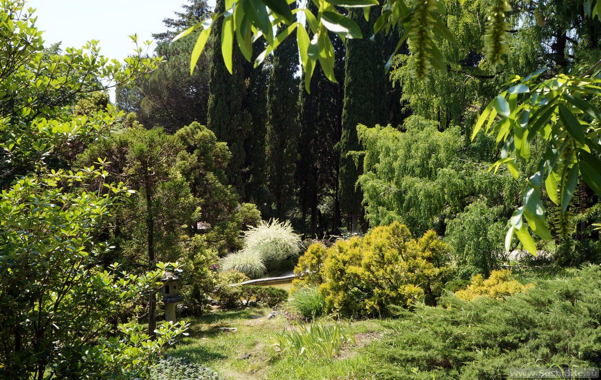 Парк-Дендрарий ботанического сада СПБ