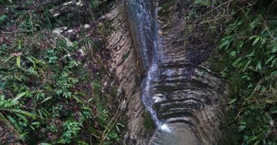 Тисо-самшитовая роща (водопад)